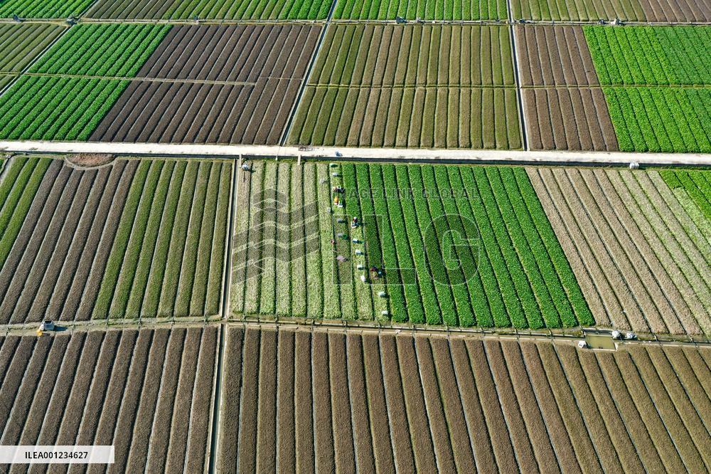 CHINA-FUJIAN-SPRING-FARMING (CN)