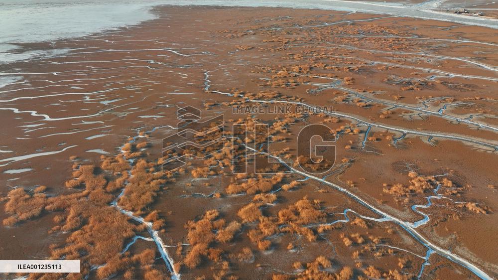 CHINA-LIAONING-PANJIN-ESTUARY-WETLAND-WINTER VIEW (CN)