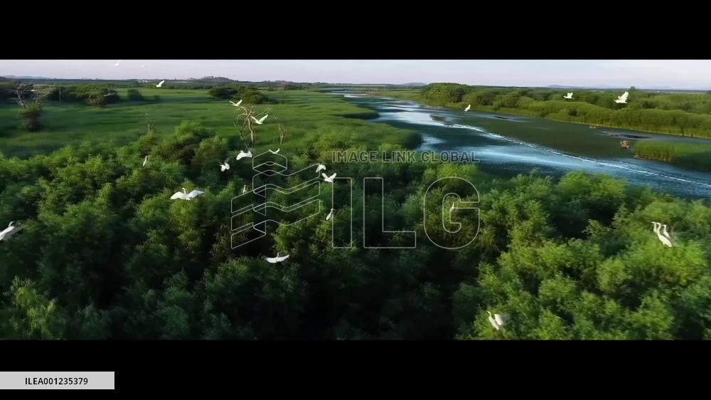 Glowing green: China progressing in ecological conservation