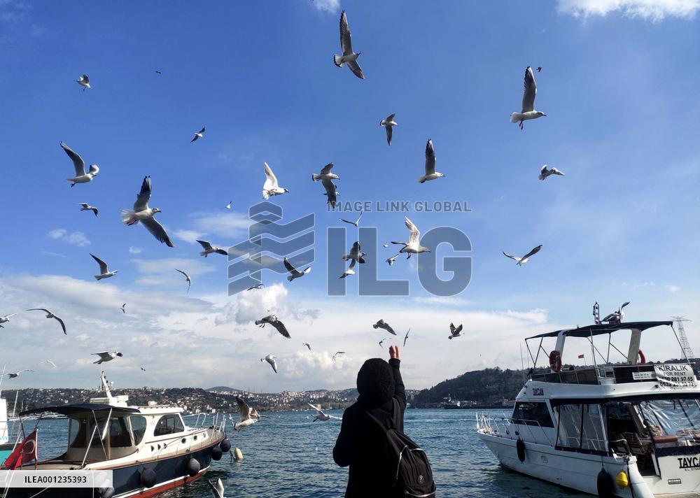 TÜRKIYE-ISTANBUL-BOSPORUS STRAIT