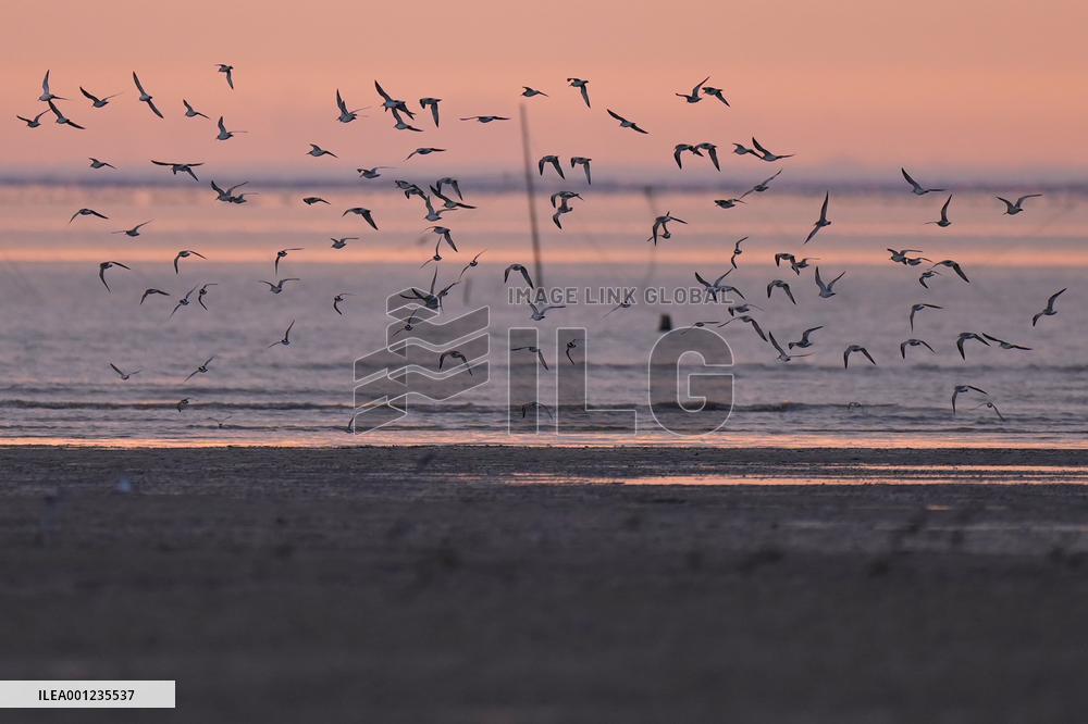 CHINA-FUJIAN-WETLANDS-SCENERY (CN)