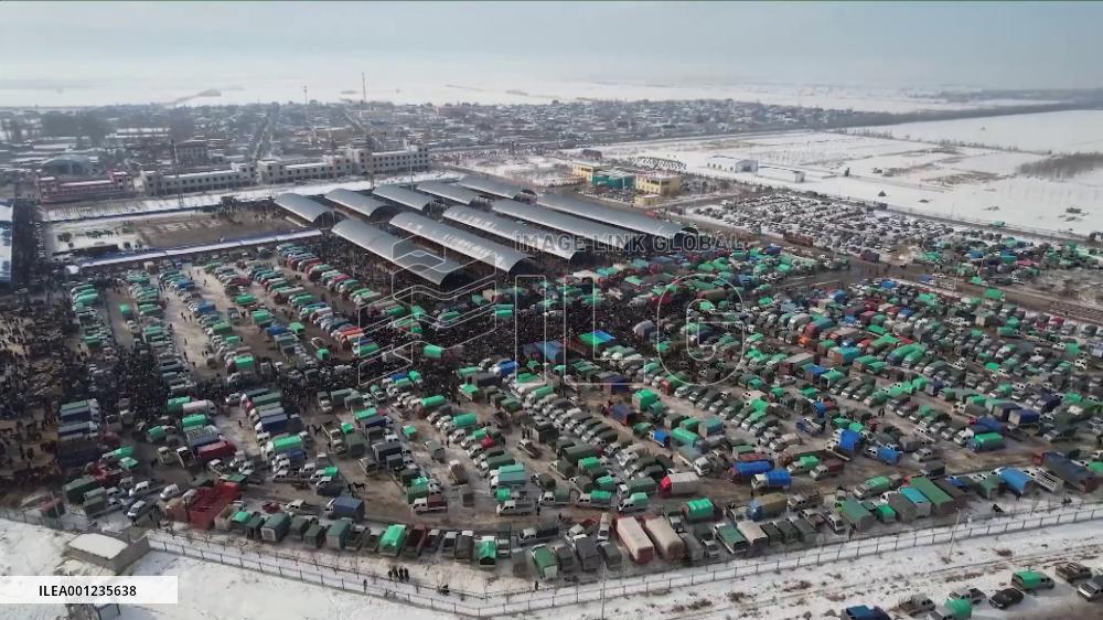 Largest livestock market in N. Xinjiang opens