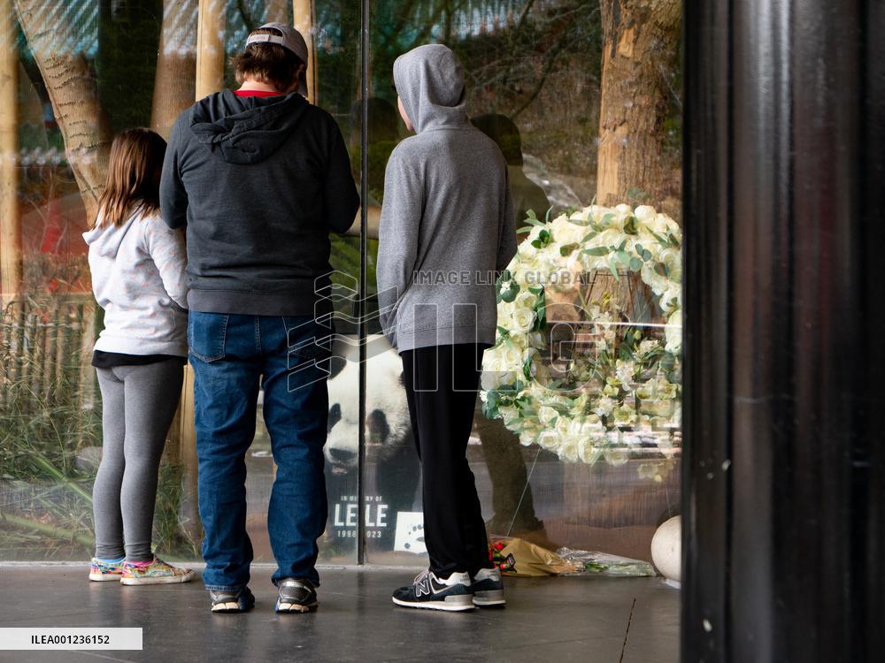 U.S.-MEMPHIS-CHINA-PANDA-LE LE-MEMORIAL