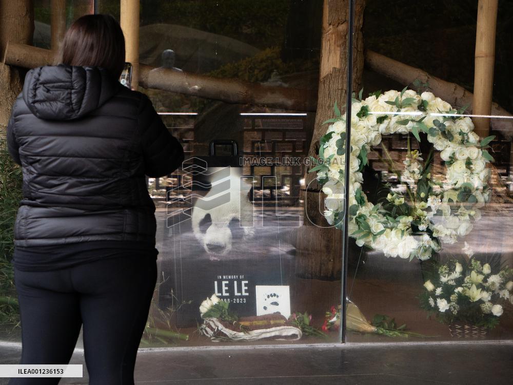 U.S.-MEMPHIS-CHINA-PANDA-LE LE-MEMORIAL