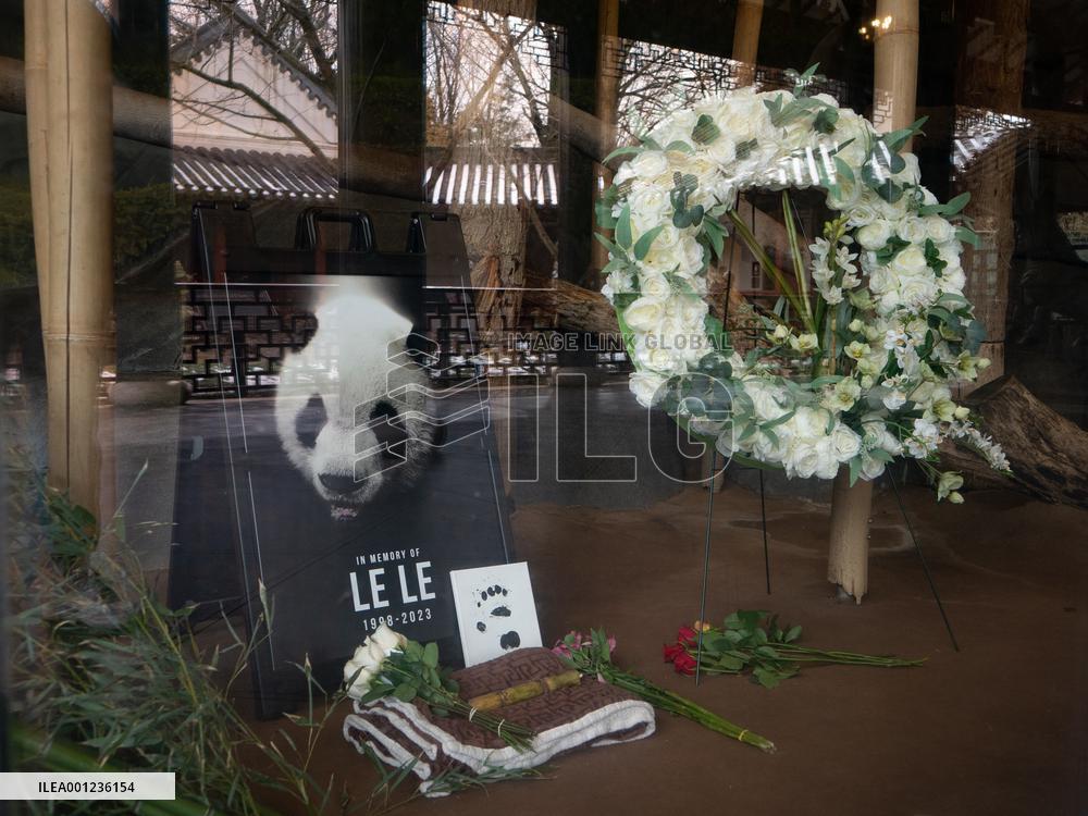 U.S.-MEMPHIS-CHINA-PANDA-LE LE-MEMORIAL