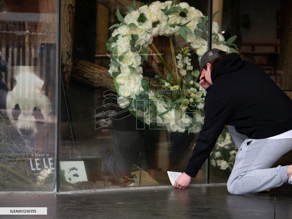 U.S.-MEMPHIS-CHINA-PANDA-LE LE-MEMORIAL