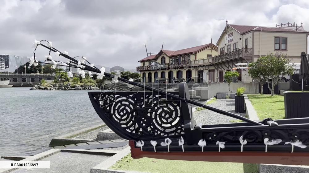 Waitangi Day ceremony held in Wellington to mark foundation treaty
