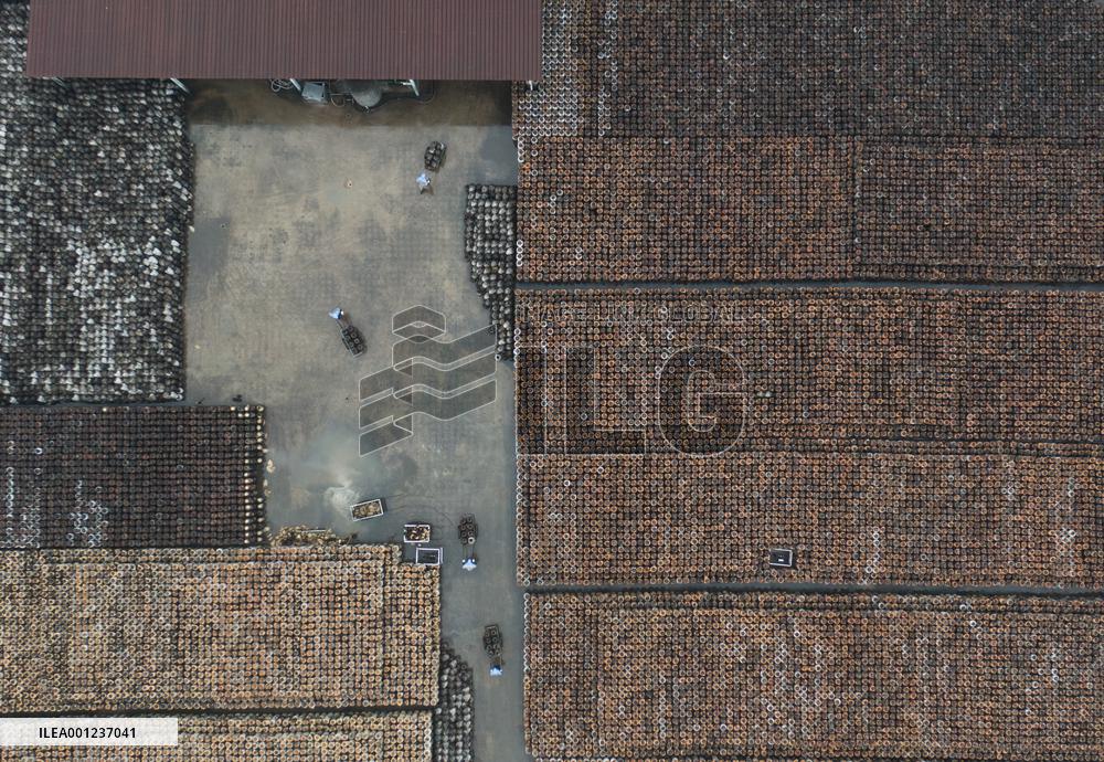 CHINA-ZHEJIANG-SHAOXING-RICE WINE-BREWING (CN)