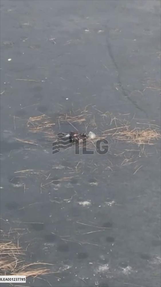 Elderly man trapped in icy river saved by firefighters