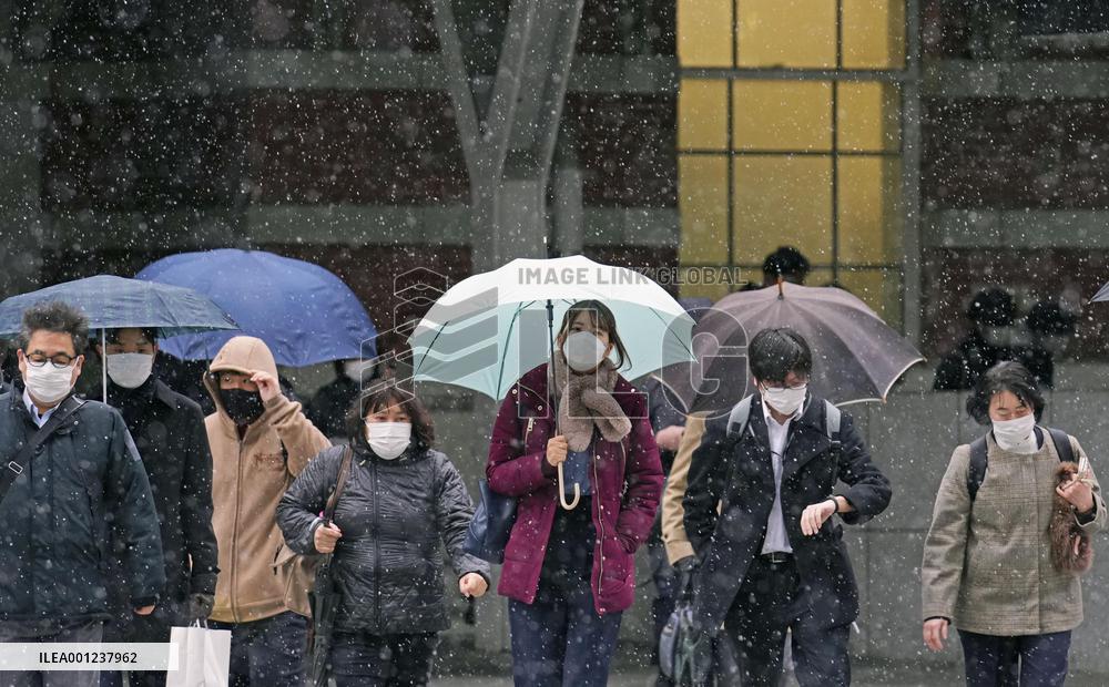 Snow in Tokyo