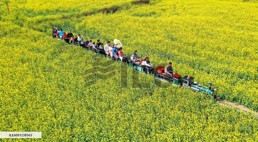 #CHINA-SPRING-SCENERY (CN)