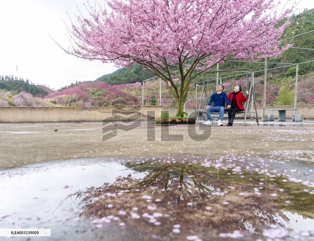 #CHINA-SPRING-BLOSSOMS-SCENERY (CN)