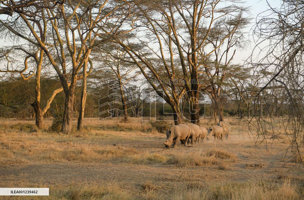 KENYA-LAKE NAKURU NATIONAL PARK-SCENERY