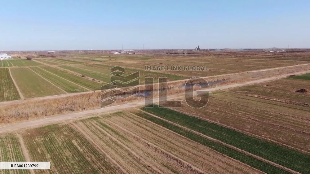 China issues No. 1 central document for 2023, highlights rural vitalization tasks