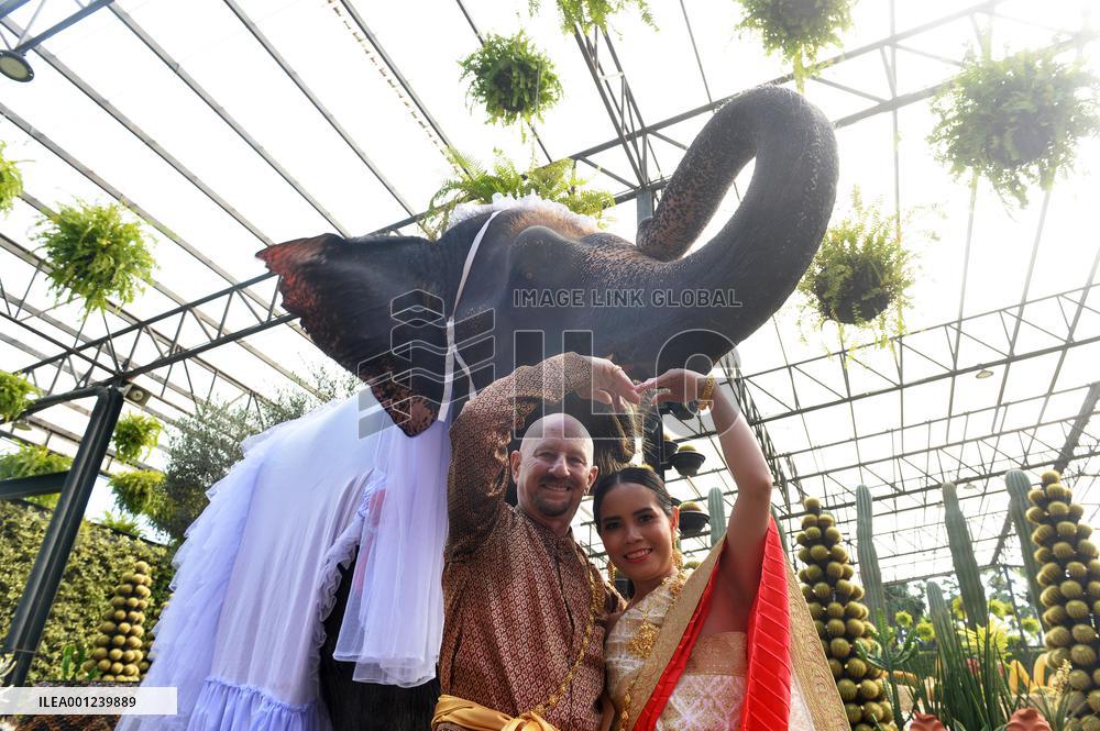 THAILAND-PATTAYA-WEDDING-ELEPHANTS-VALENTINE'S DAY