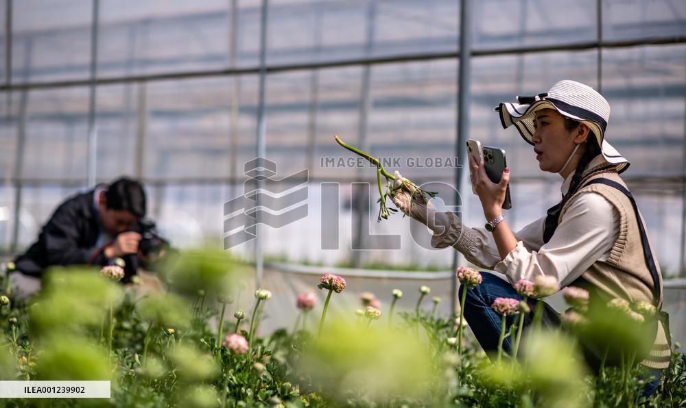 CHINA-YUNNAN-KUNMING-FLOWER BUSINESS-LIVE STREAMING (CN)