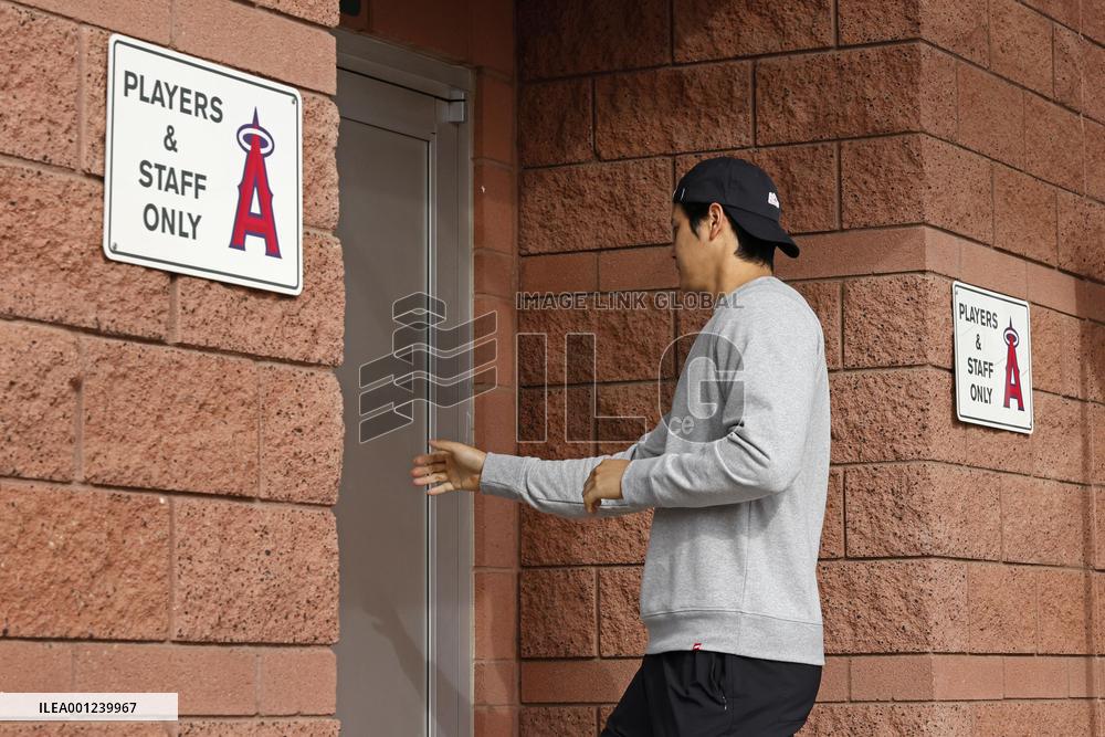 Baseball: MLB spring training