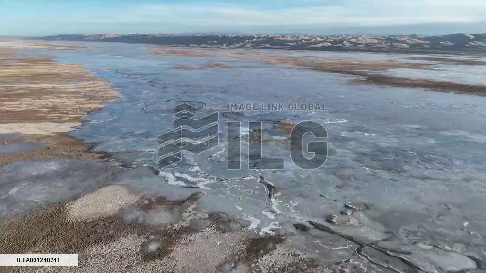 Rare animals spotted at nature reserve in China's Xinjiang in early spring