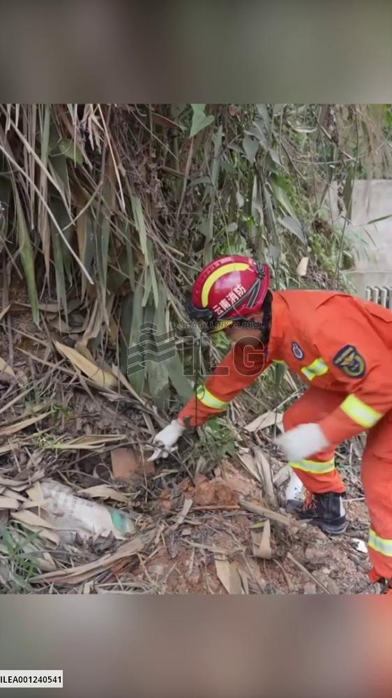 3-meter-long python taken away by firefighters in SW China