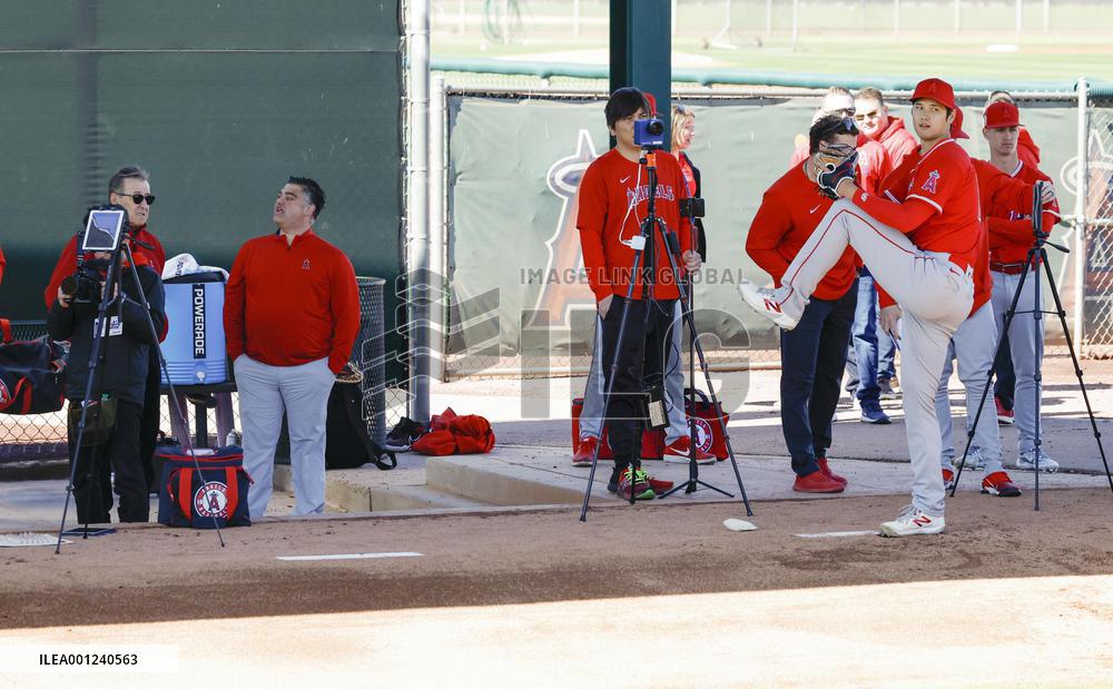 Baseball: MLB spring training
