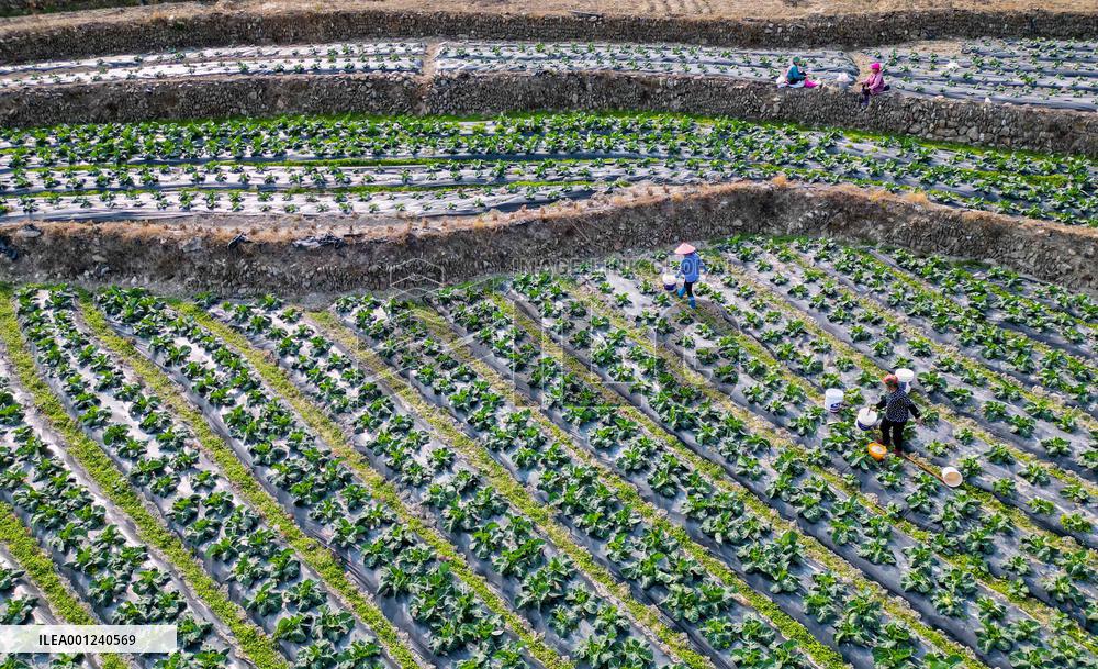 #CHINA-SPRING-FARMING (CN)