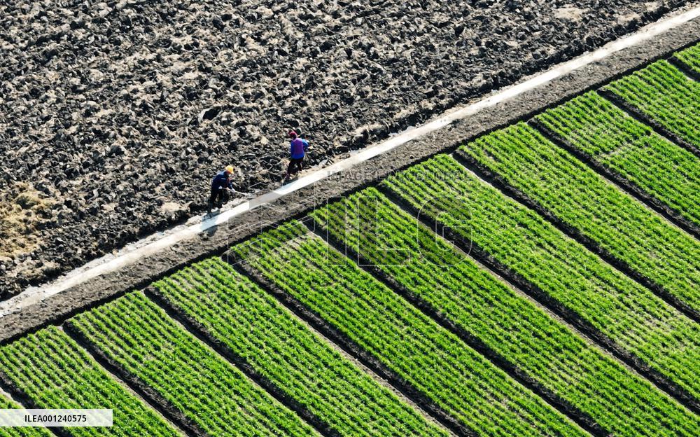 #CHINA-SPRING-FARMING (CN)
