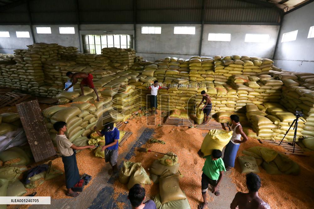 MYANMAR-YANGON-CORN-EXPORT