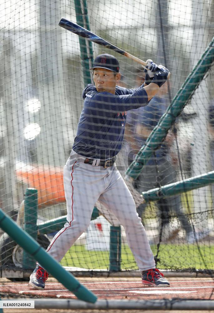 Baseball: MLB spring training