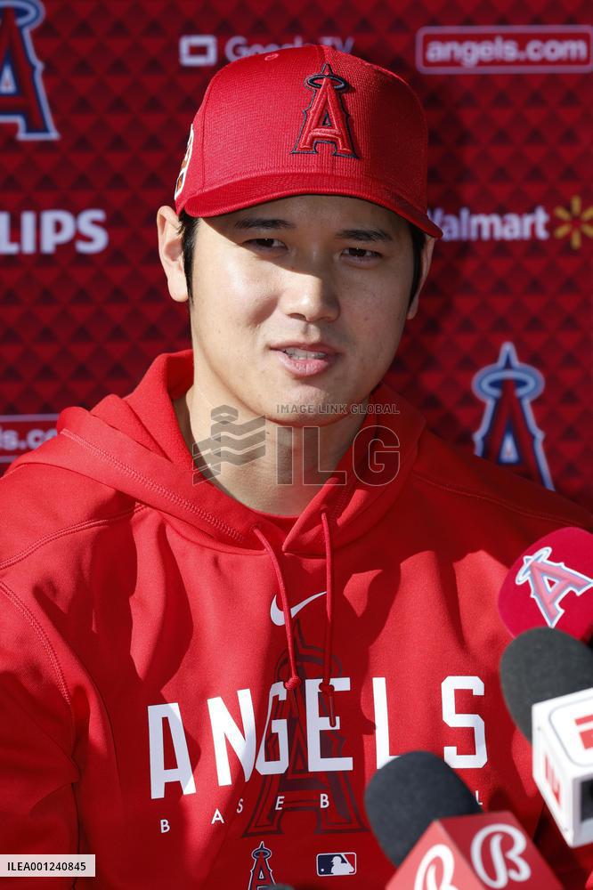 Baseball: MLB spring training