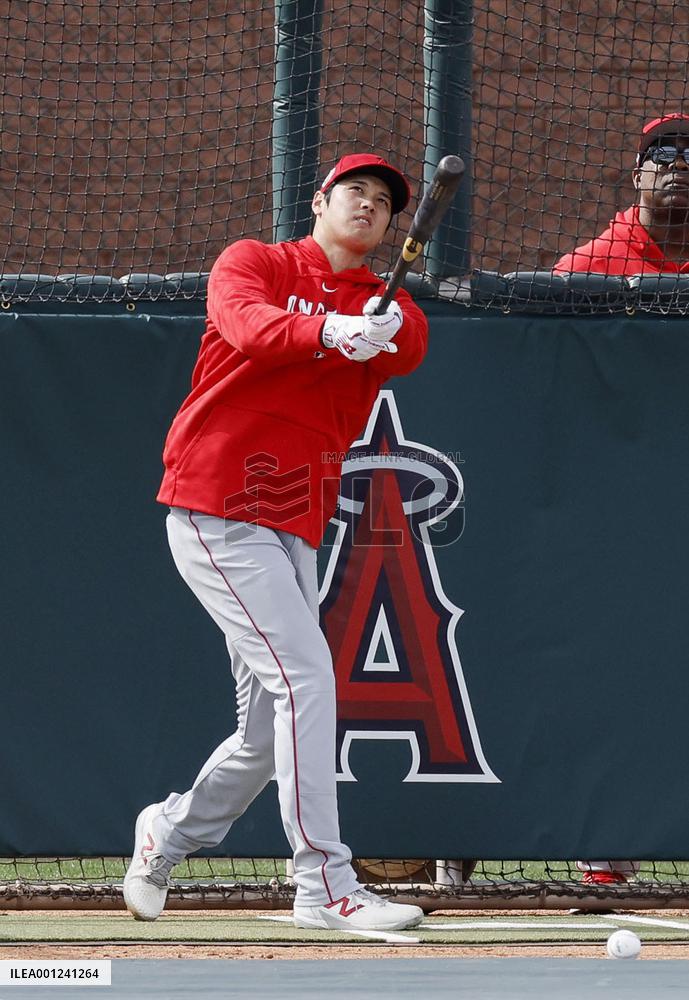 Baseball: MLB spring training