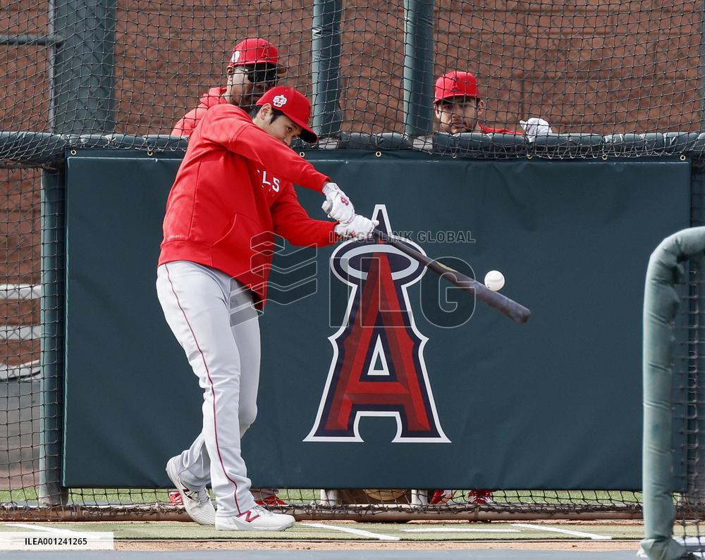 Baseball: MLB spring training