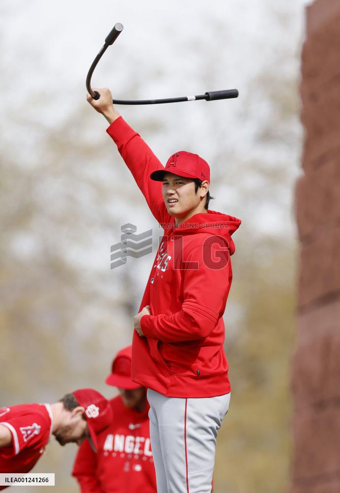 Baseball: MLB spring training
