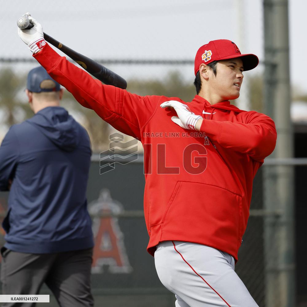 Baseball: MLB spring training