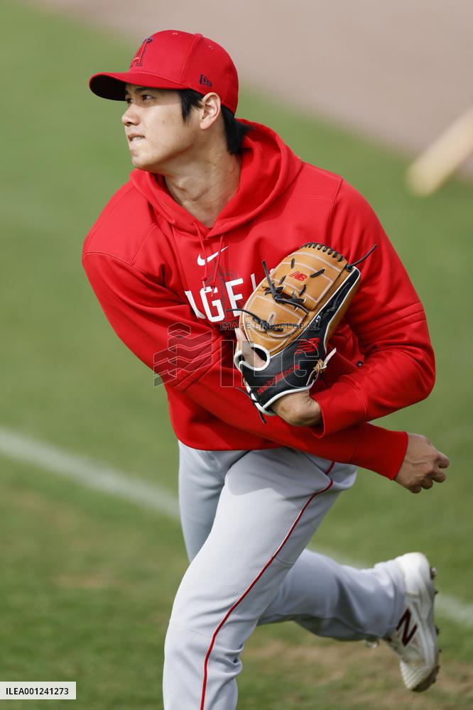 Baseball: MLB spring training