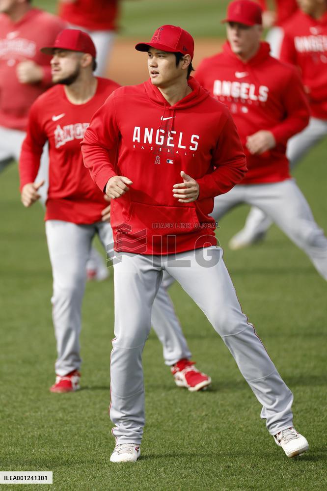 Baseball: MLB spring training