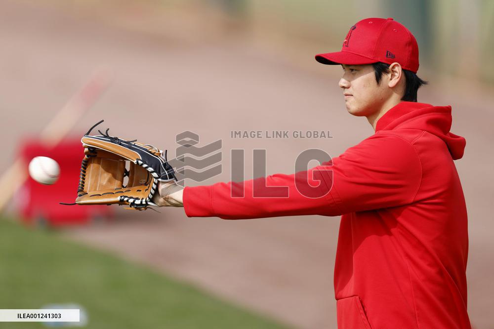 Baseball: MLB spring training