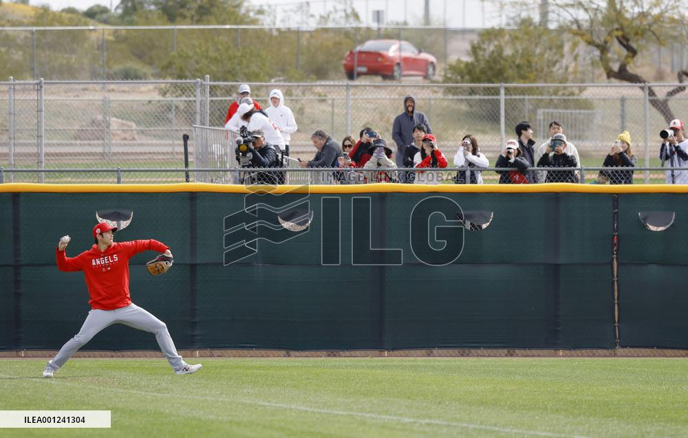 Baseball: MLB spring training