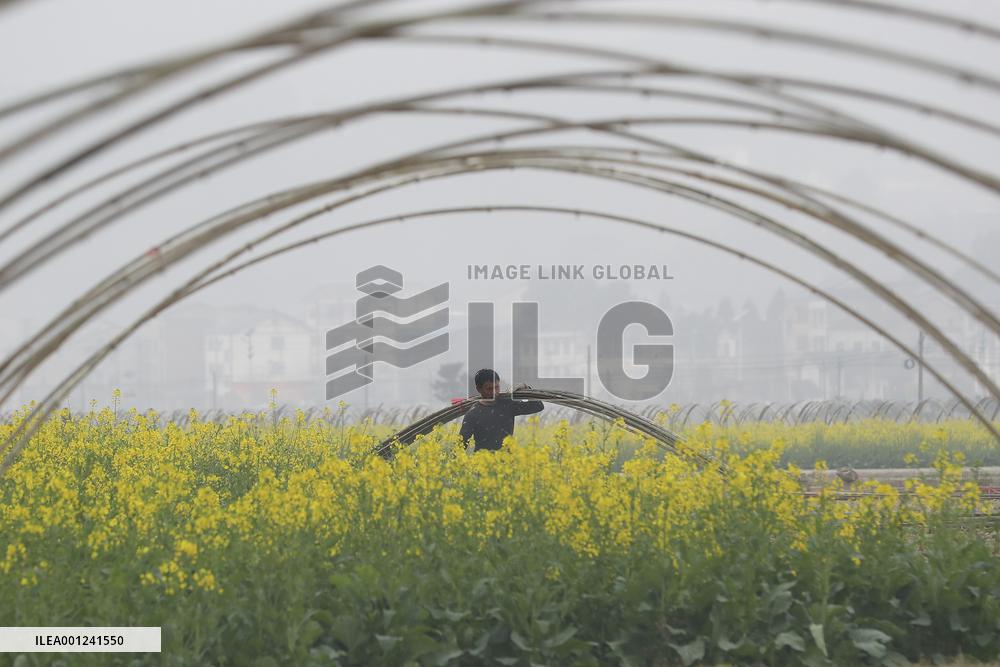 #CHINA-SPRING FARMING (CN)