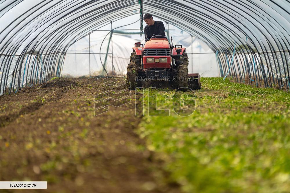 #CHINA-SPRING-FARMING (CN)