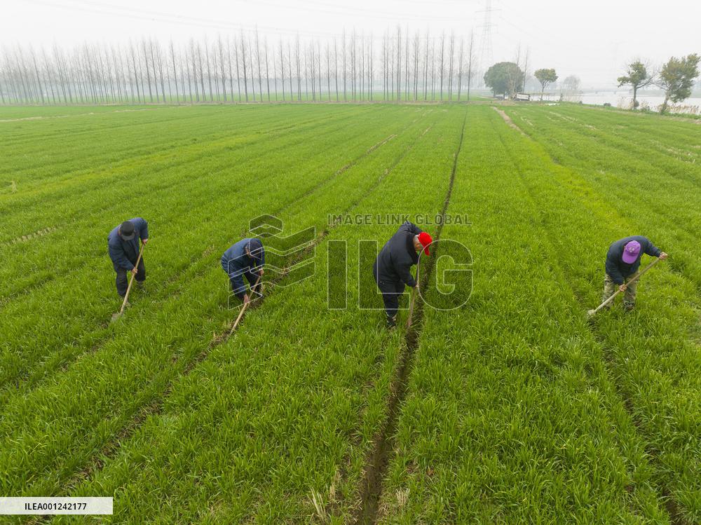 #CHINA-SPRING-FARMING (CN)