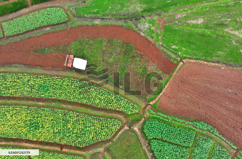 #CHINA-SPRING-FARMING (CN)