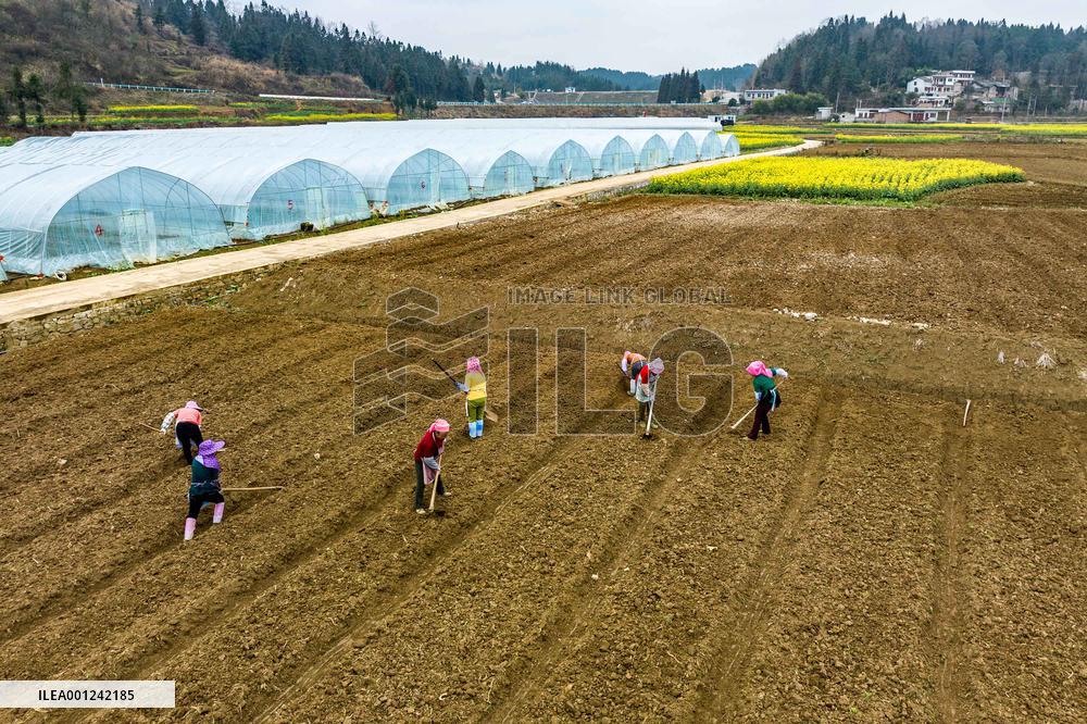 #CHINA-SPRING-FARMING (CN)