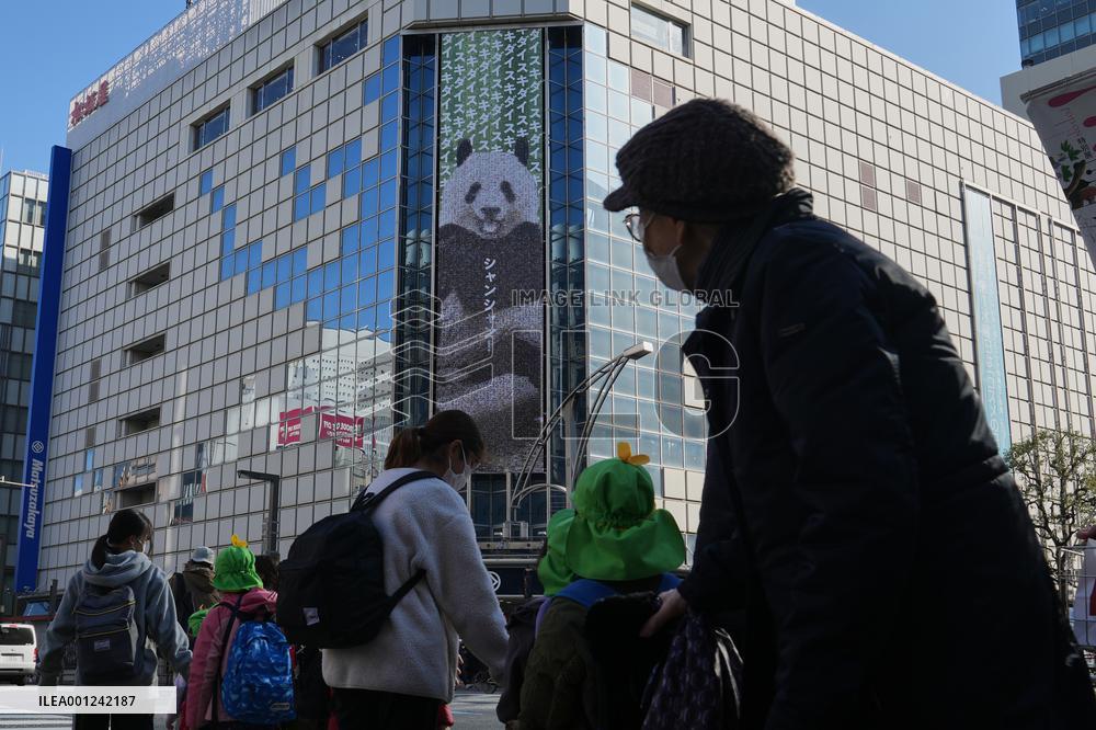 JAPAN-TOKYO-CHINA-GIANT PANDA-PHOTOGRAPHIC EXHIBITION