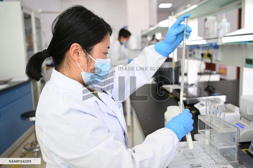 CHINA-GANSU-DAIRY INDUSTRY (CN)