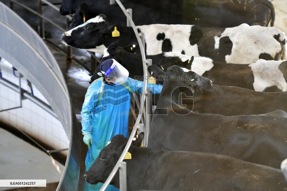 CHINA-GANSU-DAIRY INDUSTRY (CN)