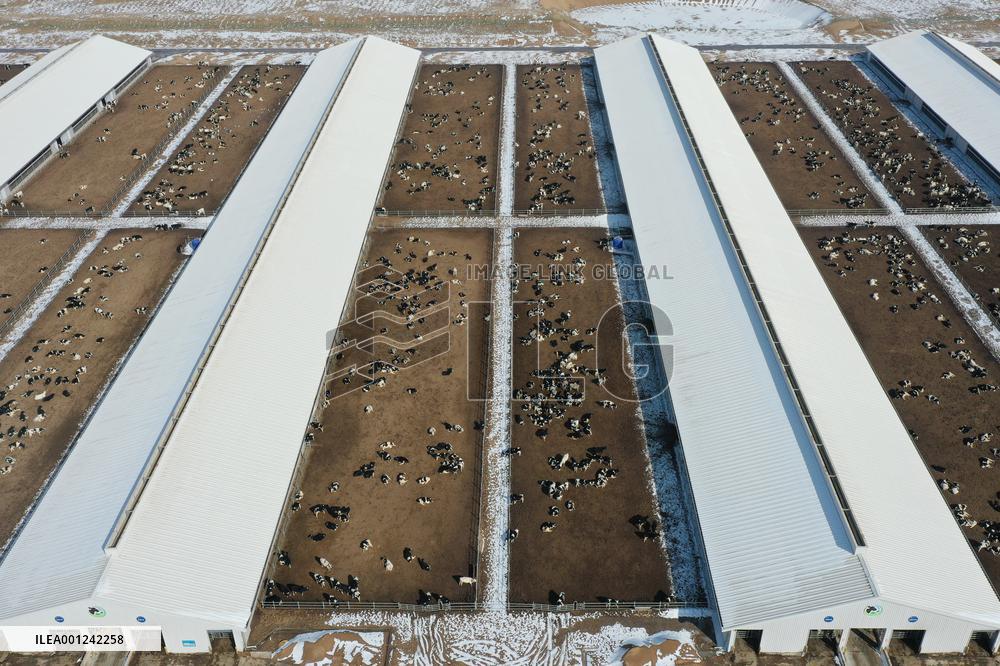 CHINA-GANSU-DAIRY INDUSTRY (CN)