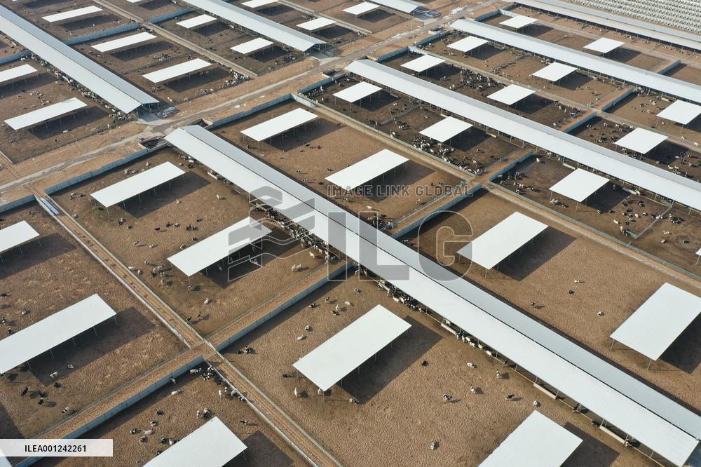 CHINA-GANSU-DAIRY INDUSTRY (CN)