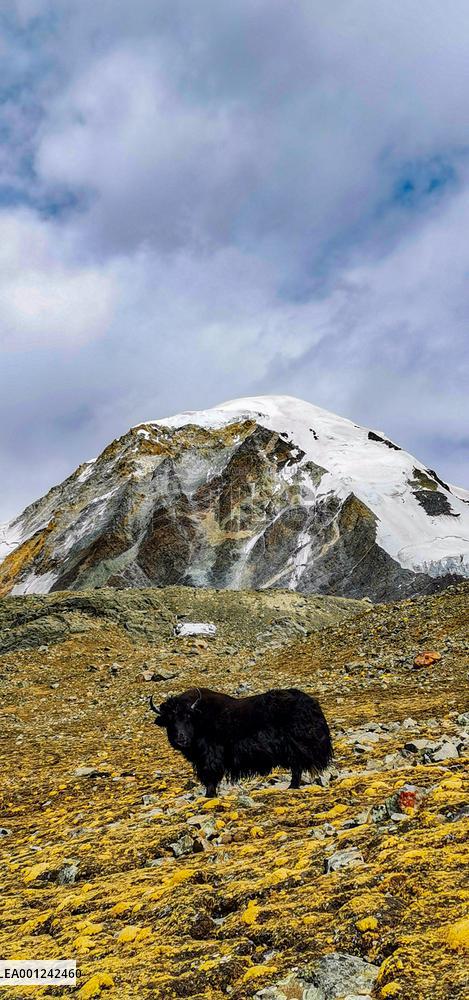 CHINA-TIBET-LHASA-MOUNT QUNGMKNAG-GLACIER (CN)