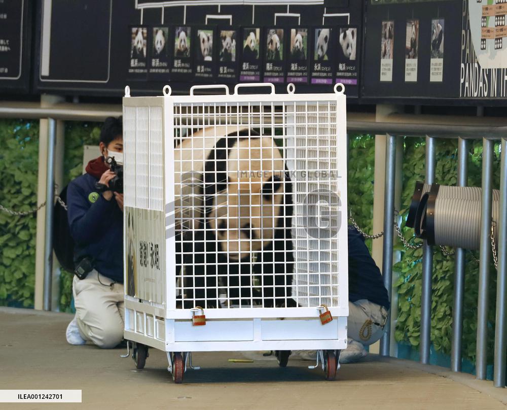 Giant panda at western Japan zoo