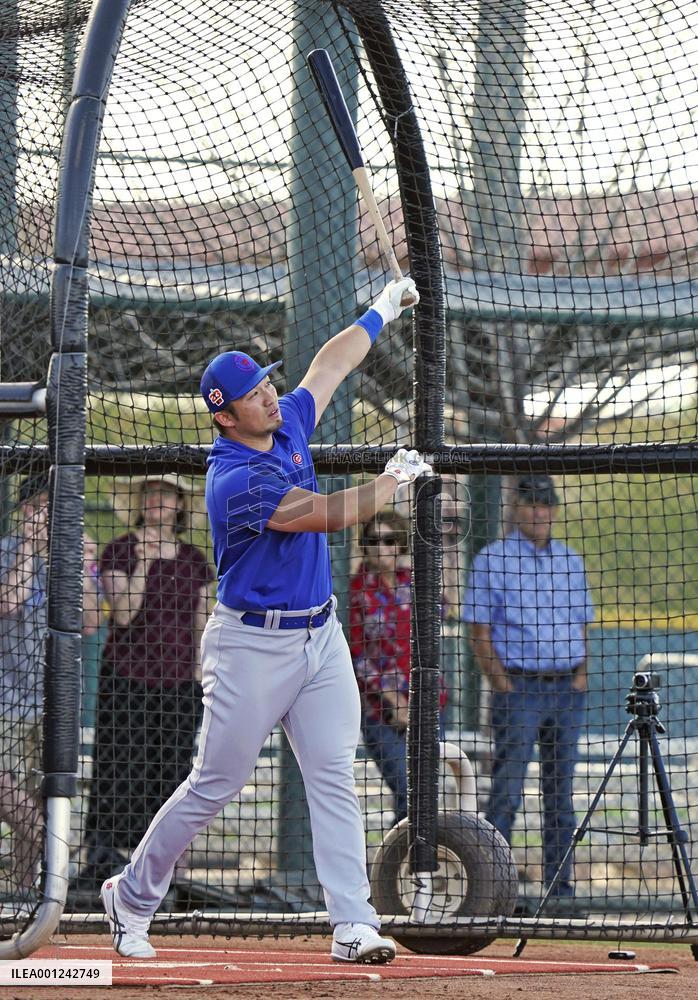 Baseball: MLB spring training